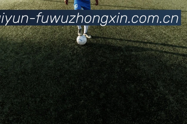 开云观赛界面